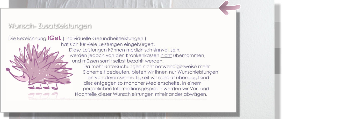 Die Bezeichnung IGeL ( individuelle Gesundheitsleistungen )  hat sich für viele Leistungen eingebürgert.                                                                                                     Diese Leistungen können medizinisch sinnvoll sein,  werden jedoch von den Krankenkassen nicht übernommen,  und müssen somit selbst bezahlt werden.  Da mehr Untersuchungen nicht notwendigerweise mehr                                                                                                         Sicherheit bedeuten, bieten wir Ihnen nur Wunschleistungen     an von deren Sinnhaftigkeit wir absolut überzeugt sind -dies entgegen so mancher Medienschelte. In einem persönlichen Informationsgespräch werden wir Vor- und      Nachteile dieser Wunschleistungen miteinander abwägen. Wunsch- Zusatzleistungen